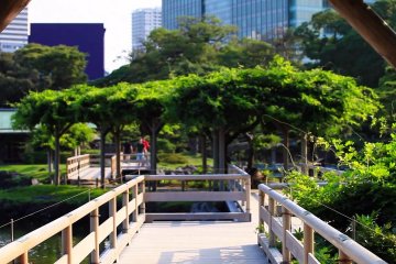 Le Jardin Hama-rikyu