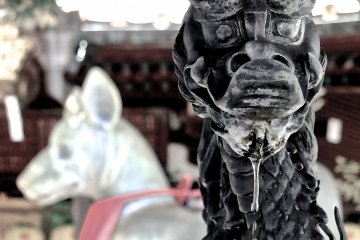 6월에 간 아카사카의 여우들의 절