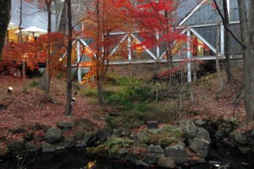 <p>Seiji&nbsp;Fujishiro&nbsp;Gallery surrounded by beautiful autumn leaves</p>