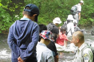 <p>No need to rush to cross the river!</p>