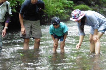 <p>Whose boat is going to be the fastest?</p>