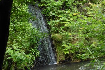 <p>Waterfall on the way back to the visitor center</p>