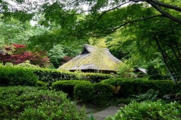 Ogino House in Yakushiike Park