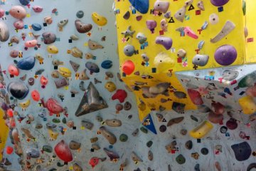 <p>Which route do you want to try?</p>