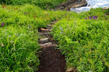 <p>While not part of the official Tanesashi Coast Promenade, there are pathways leading down to the ocean for those who want a closer look</p>