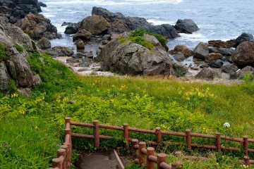 <p>These stairs lead down towards the ocean</p>