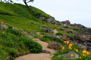 <p>The sides of the pathway are scattered with flowers in the summer, autumn and spring</p>