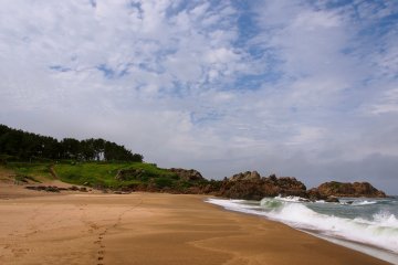 <p>Cliffs and coast on a summer day</p>