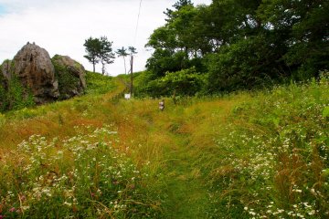 <p>After leaving the beach, the Promenade continues through gentler, grassy areas</p>