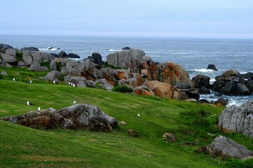 <p>Enjoy the view from the lawn overlooking the ocean</p>