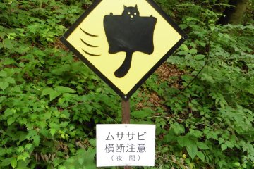 Attention: travers&eacute;e d'&eacute;cureuils volants.&nbsp;Ce panneau&nbsp;n'existe qu'en&nbsp;deux exemplaires&nbsp;dans le monde et ils se trouvent tous deux ici!