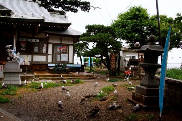 The shrine building itself is probably not going to be your main focus here