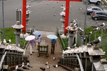 Be sure to grab an umbrella before entering the shrine &ndash; the seagulls own the place