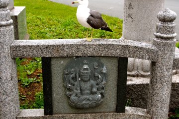 A Shinto shrine that has more or less become a Seagull Shrine