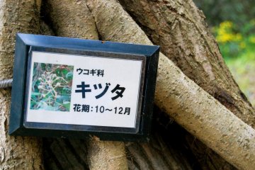 Yatoyama Park