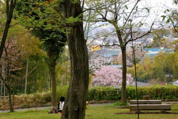 Yatoyama Park