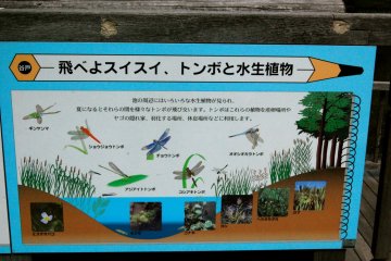 Yatoyama Park