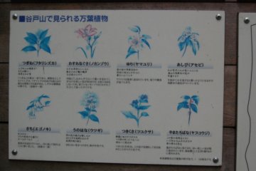 Yatoyama Park