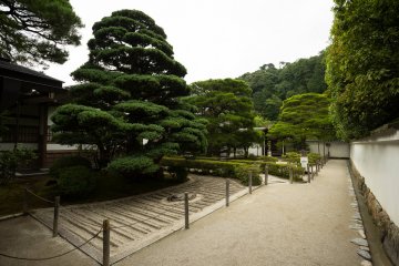 <p>As you enter you will be greeted with a small garden.&nbsp;</p>