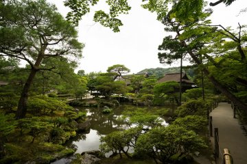 <p>As you walk around, you will see the pond with its stunning reflection</p>