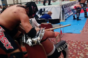 <p>The action isn't always contained in the ring</p>