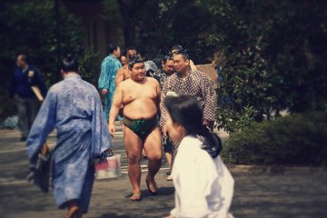 <p>The sumo wrestlers arrive early and mingle with fans as the stroll through Yasukuni Shrine towards the arena</p>