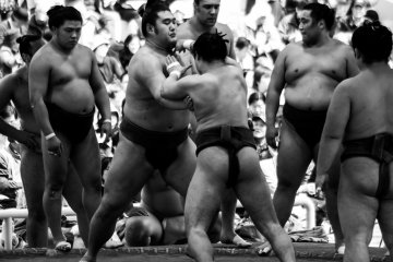 <p>Every seat has a great view, as the best Sumo Wrestlers demonstrate their skills for the crowds</p>