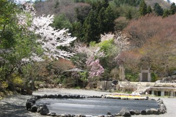 The Garden