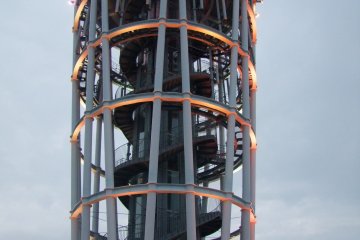 <p>Standing tall</p>