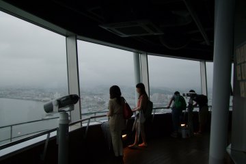 <p>Enjoying the view</p>