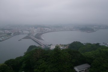 <p>Enjoying the view</p>