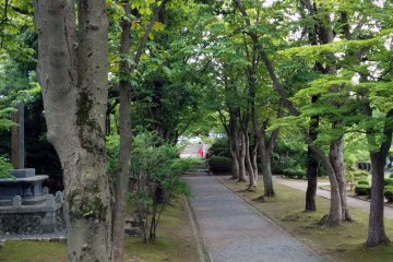 <p>Follow the tree-lined walkway after taking in the simple garden landscape and examining the few monuments</p>
