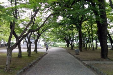 <p>Pass through a few more trees (which were not originally here)&nbsp;</p>