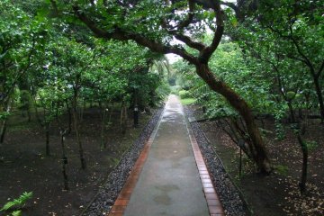 <p>A peaceful walk</p>