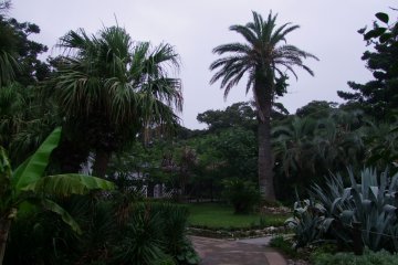 <p>A botanical garden with plenty of places to walk</p>