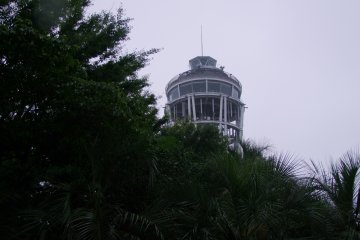 <p>The Enoshima Sea Candle tower peaking out over the trees &nbsp;</p>
