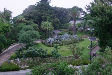 <p>A view of the garden and its paths</p>