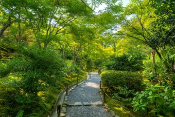 There will be a path to follow as you explore the area.&nbsp;