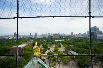 <p>The view from the observatory deck.&nbsp;</p>