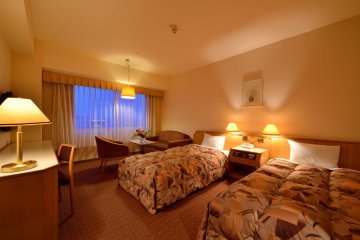 <p>Twin room</p>