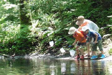 <p>Some activities can be enjoyed by the entire family</p>