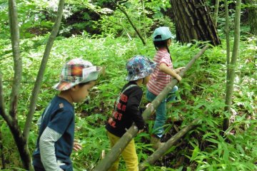 <p>Children are willing to help build their tent...</p>