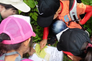 <p>Orientation game in the Wild Bird Forest</p>