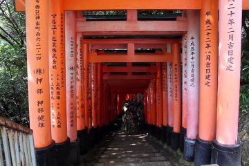 Voyage around Fushimi Inari Shrine
