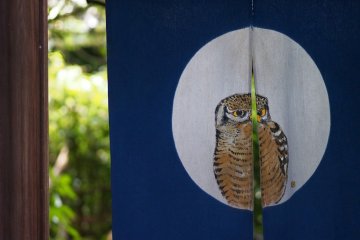 <p>Lucky cats to lucky owls &ndash; just one of many entrances to a garden cafe</p>