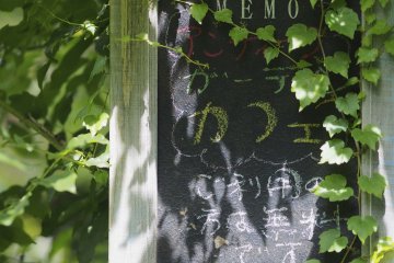 <p>Overgrown in a most beautiful way</p>