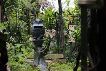 <p>One secret garden of many</p>