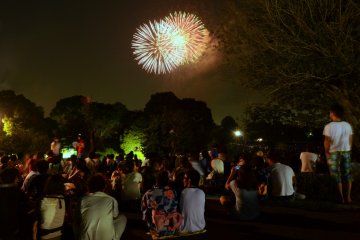 <p>Watching the fireworks with loved ones amidst a beautiful summer evening.</p>
