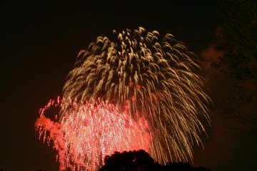<p>Beautiful fireworks brighten up the sky and the mood of all onlookers.&nbsp;</p>