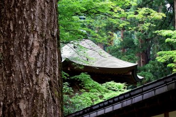 Moment of Peace at Eiheiji Temple 2